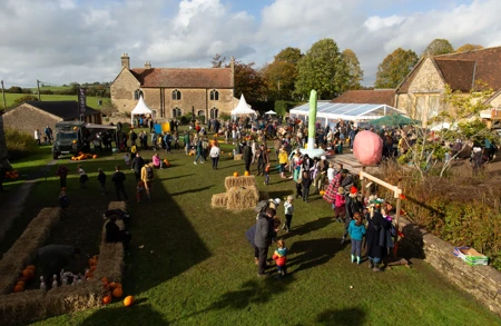 Image for events titled Pumpkin Festival 2024