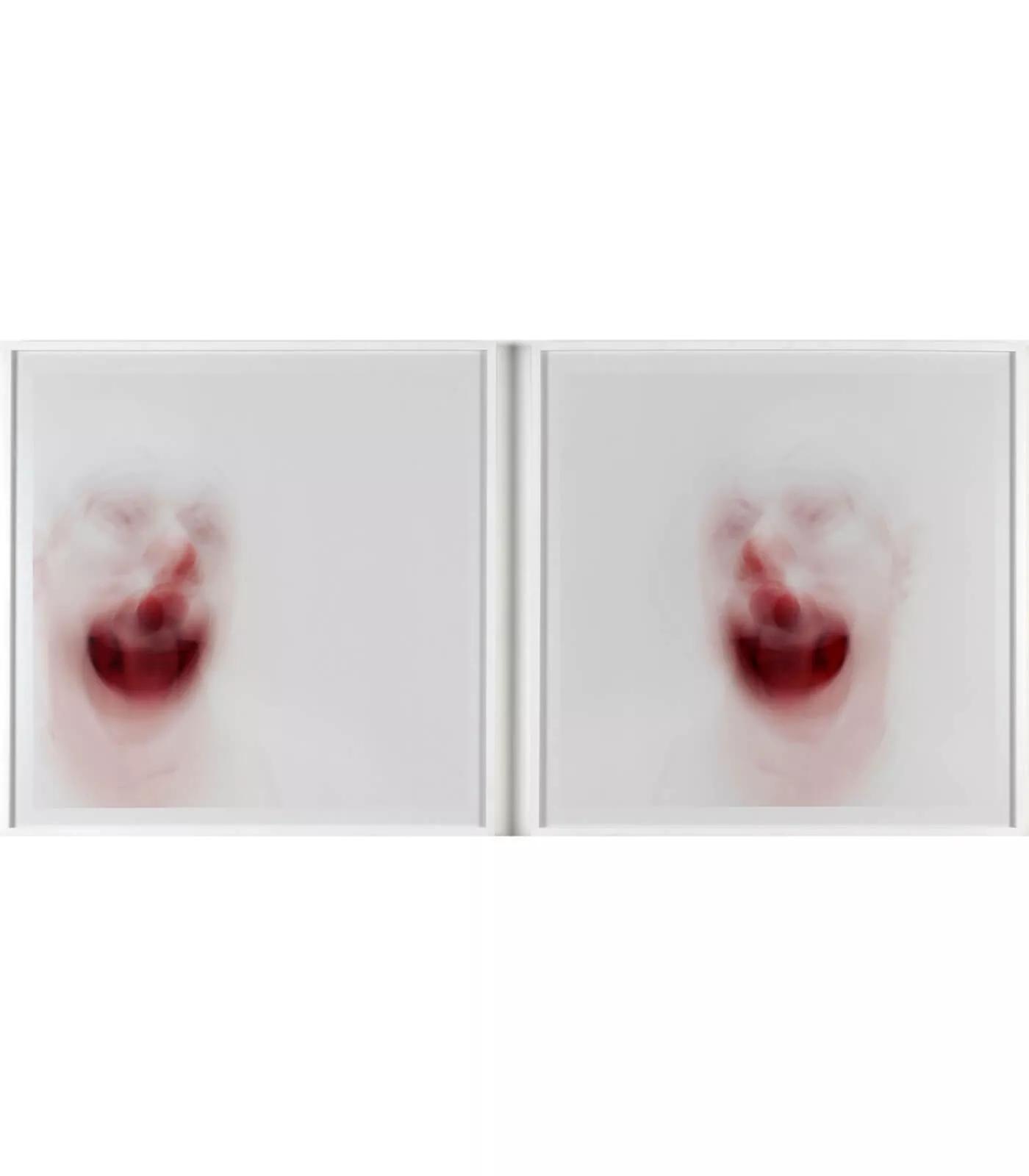 Image for exhibition titled Roni Horn