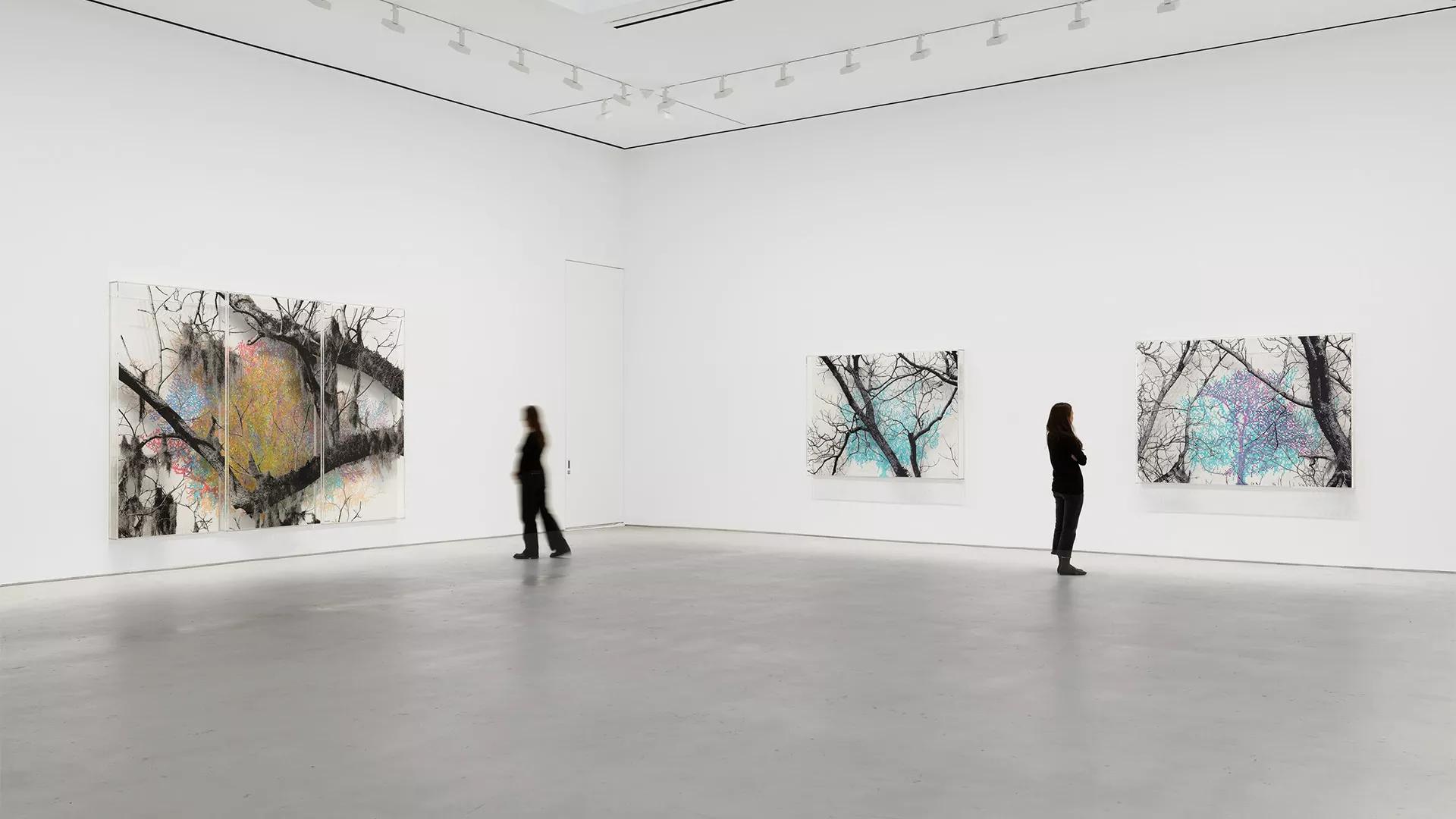 Image for exhibition 