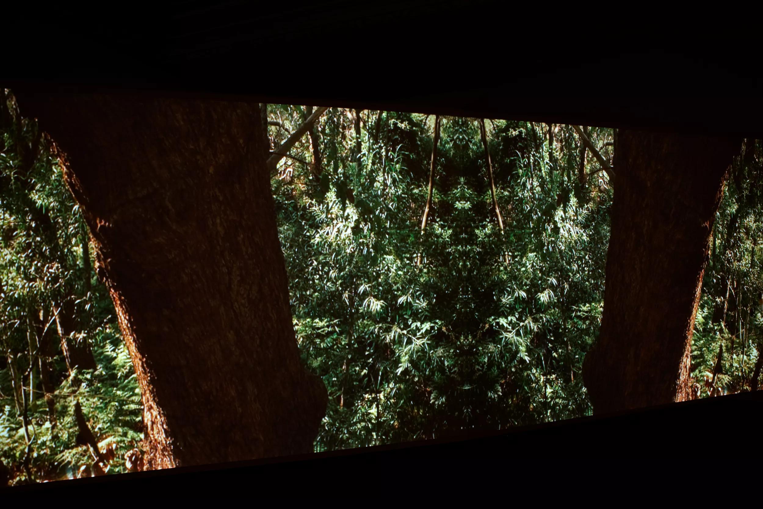 Image for exhibition 