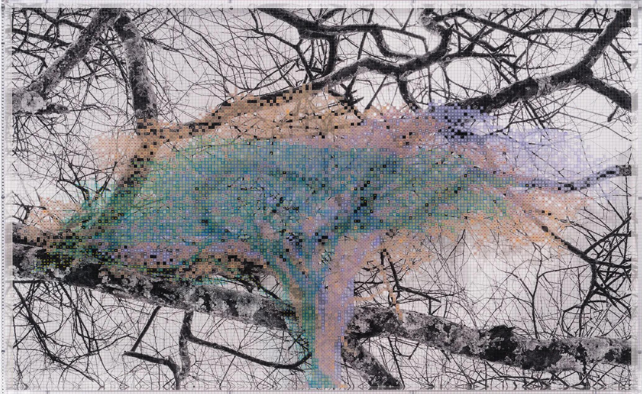 Image for exhibition titled Charles Gaines