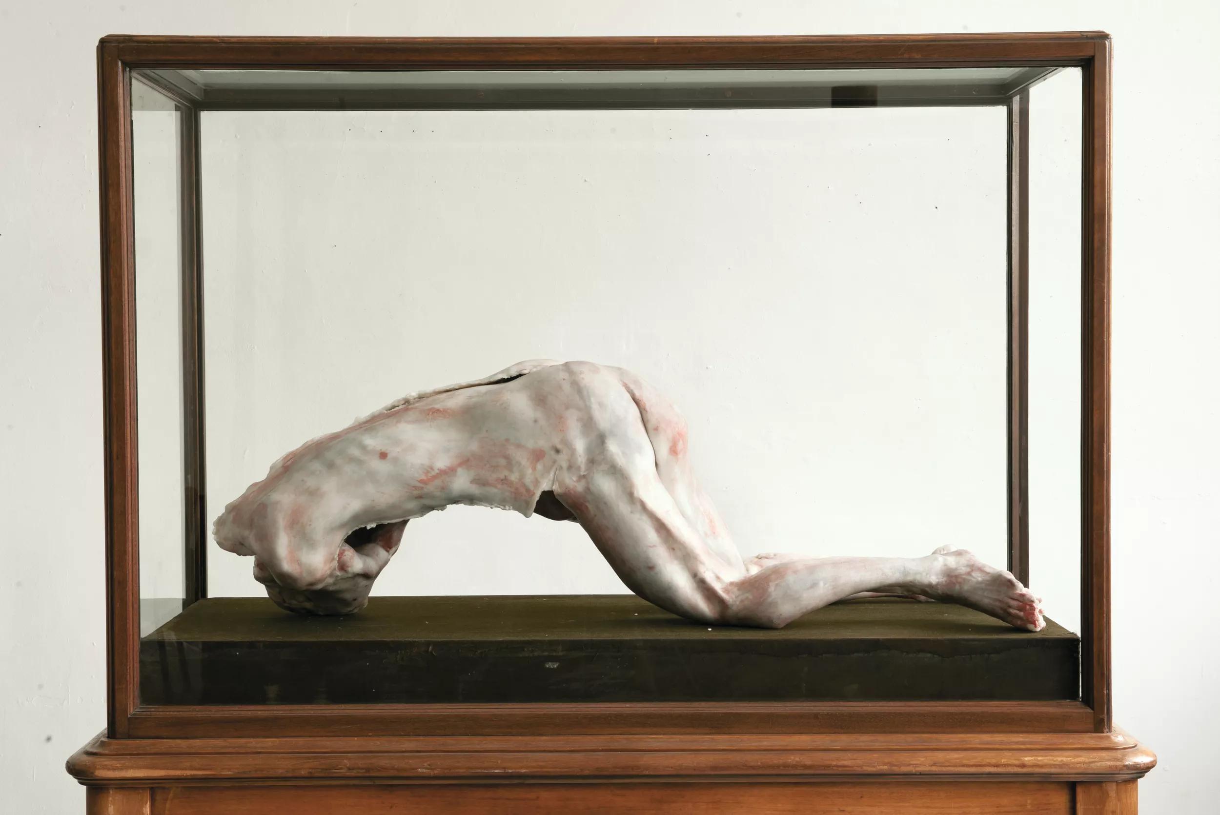 Image for exhibition titled Berlinde  De Bruyckere