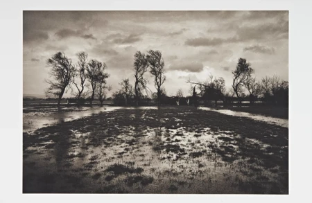 Thumbnail image for exhibition titled Don McCullin