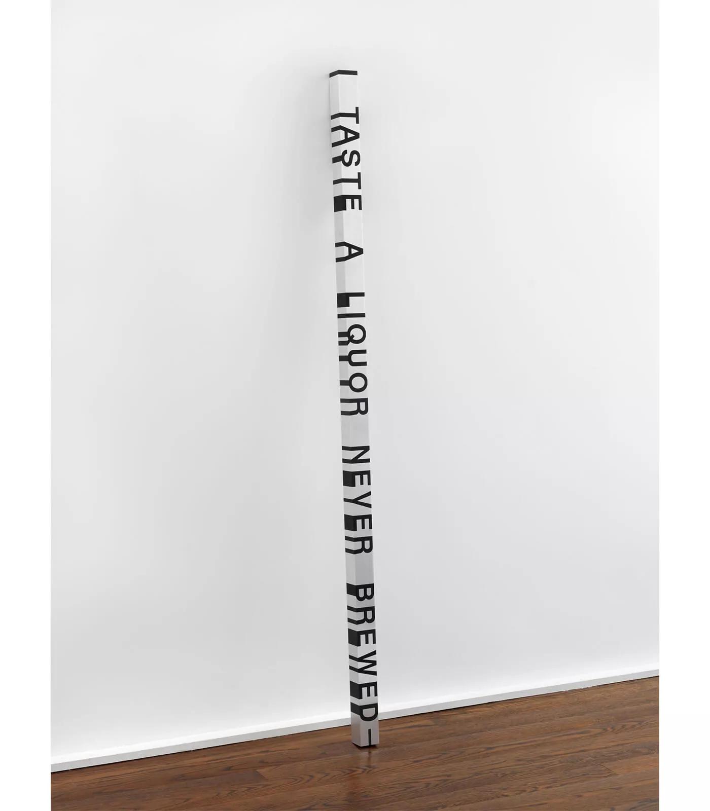 Image for exhibition titled Roni Horn