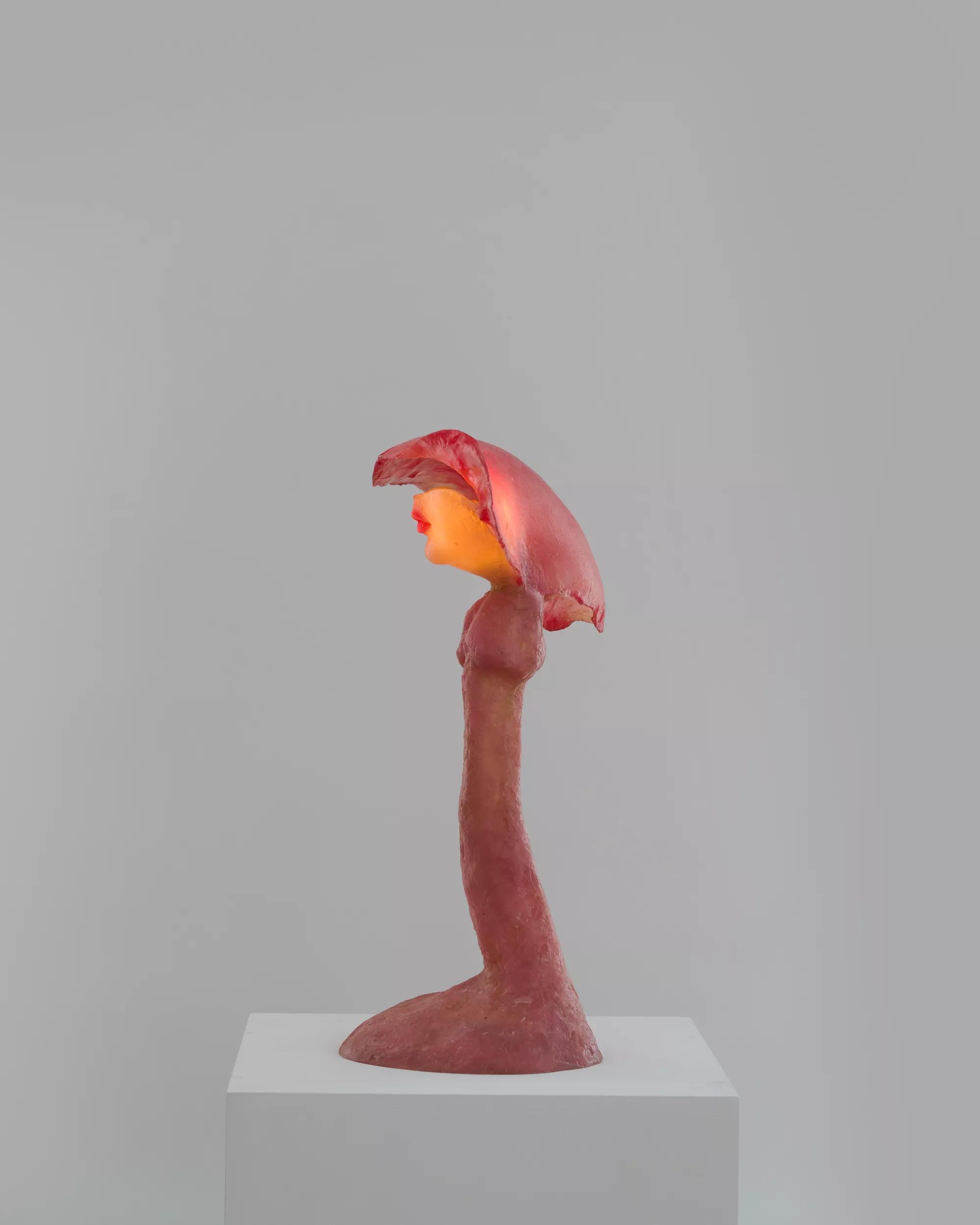 Image 4 of 8