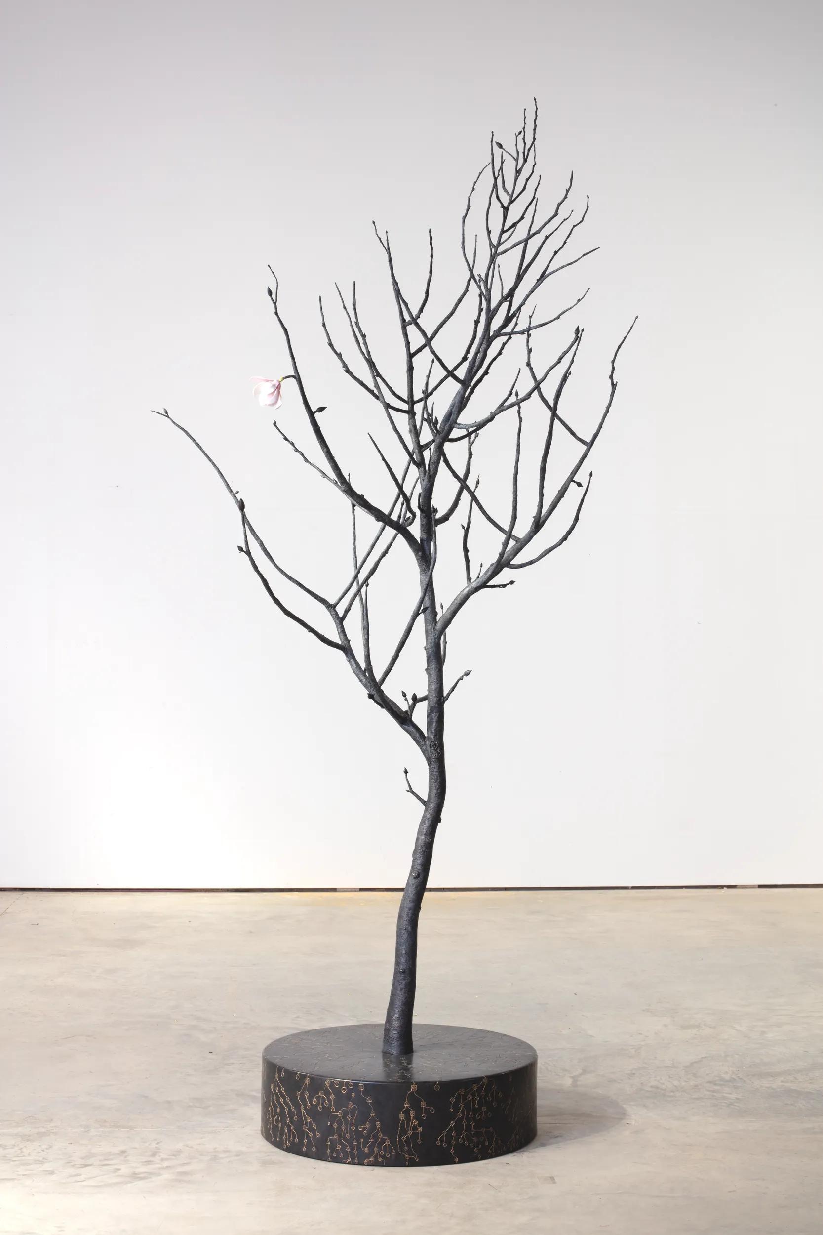 Image for exhibition titled Keith Tyson