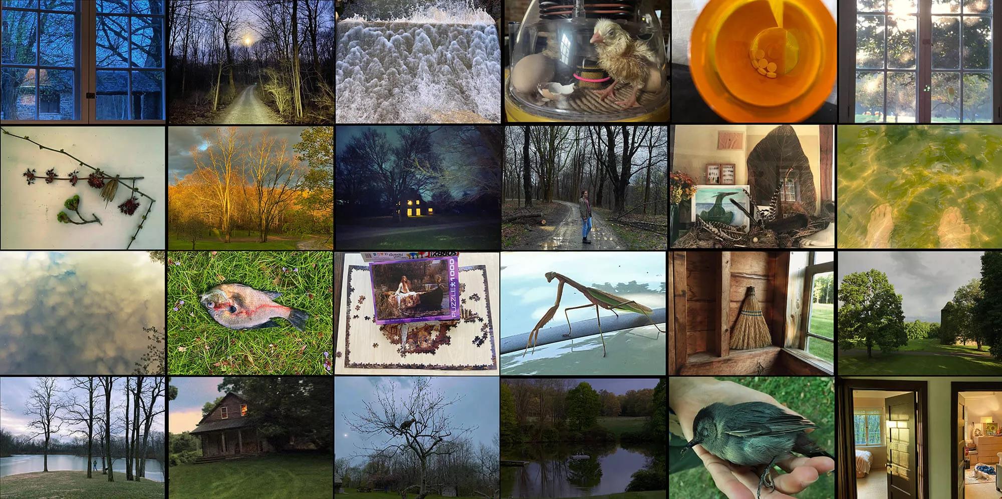 Image for exhibition 