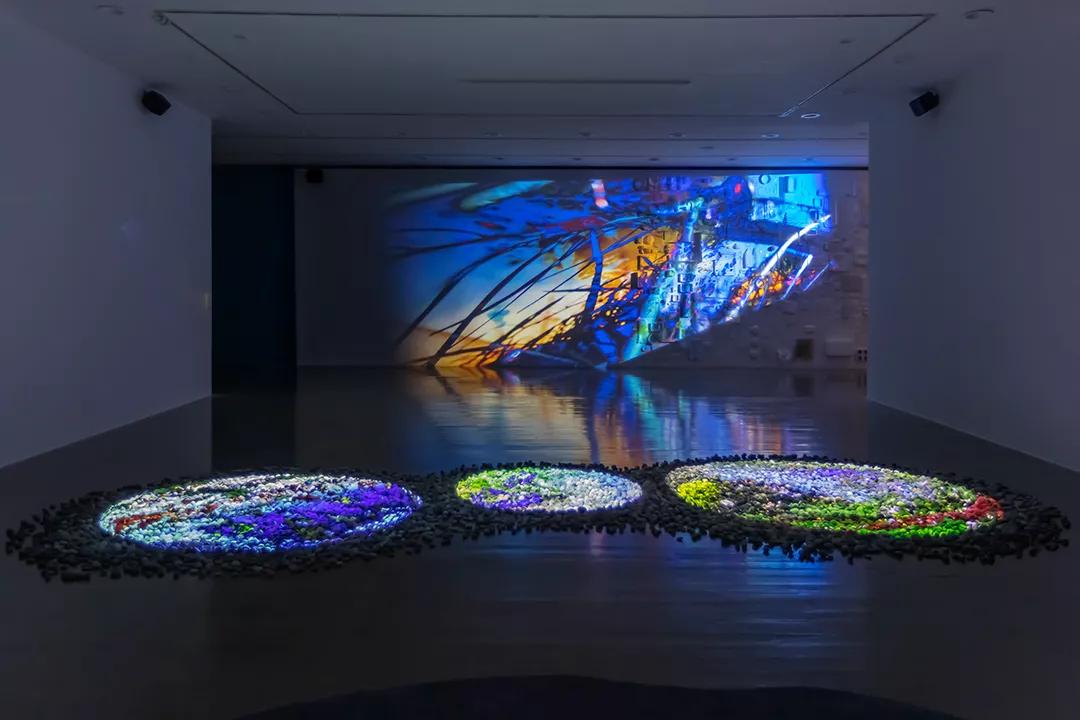 Image for exhibition 