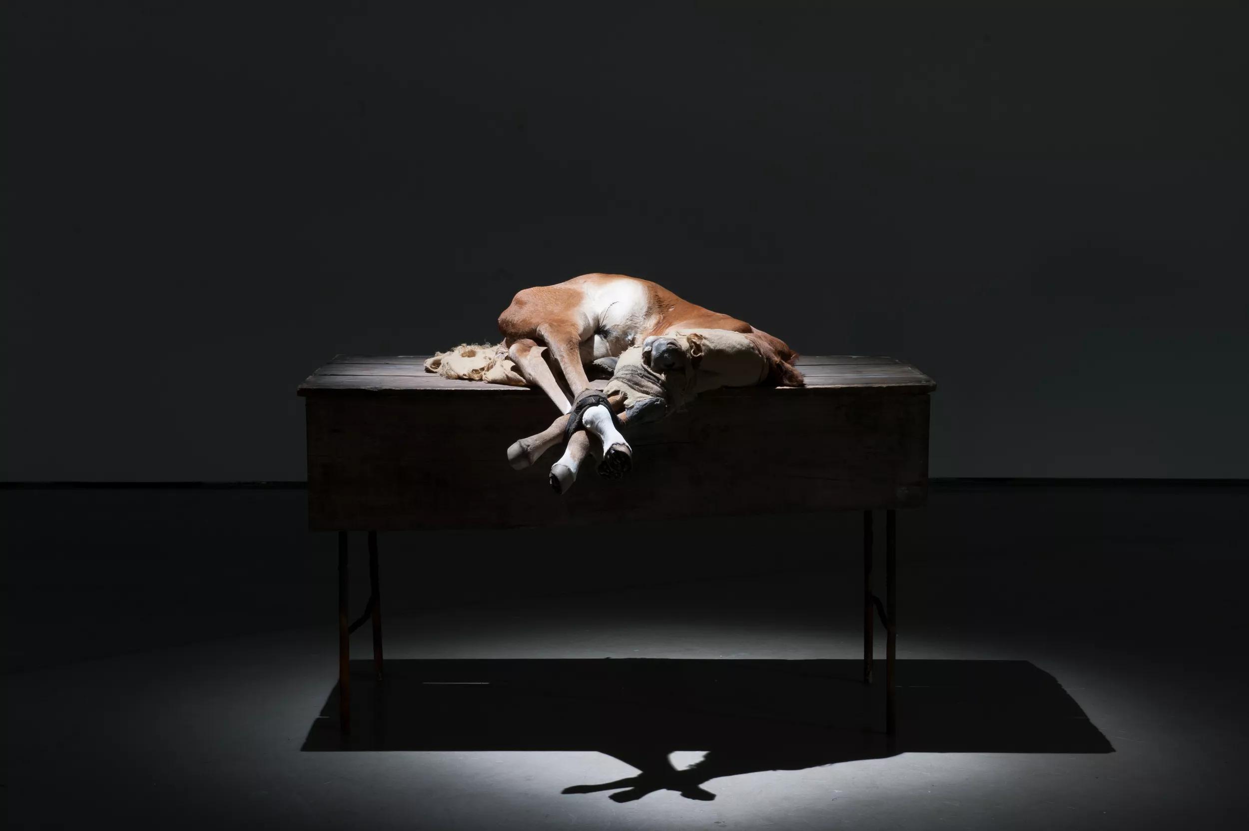 Hero image for article titled Berlinde De Bruyckere: No Life Lost