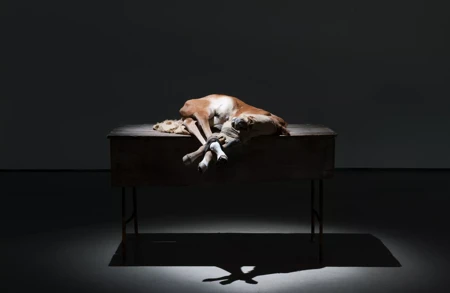 Thumbnail image for news titled Berlinde De Bruyckere: No Life Lost