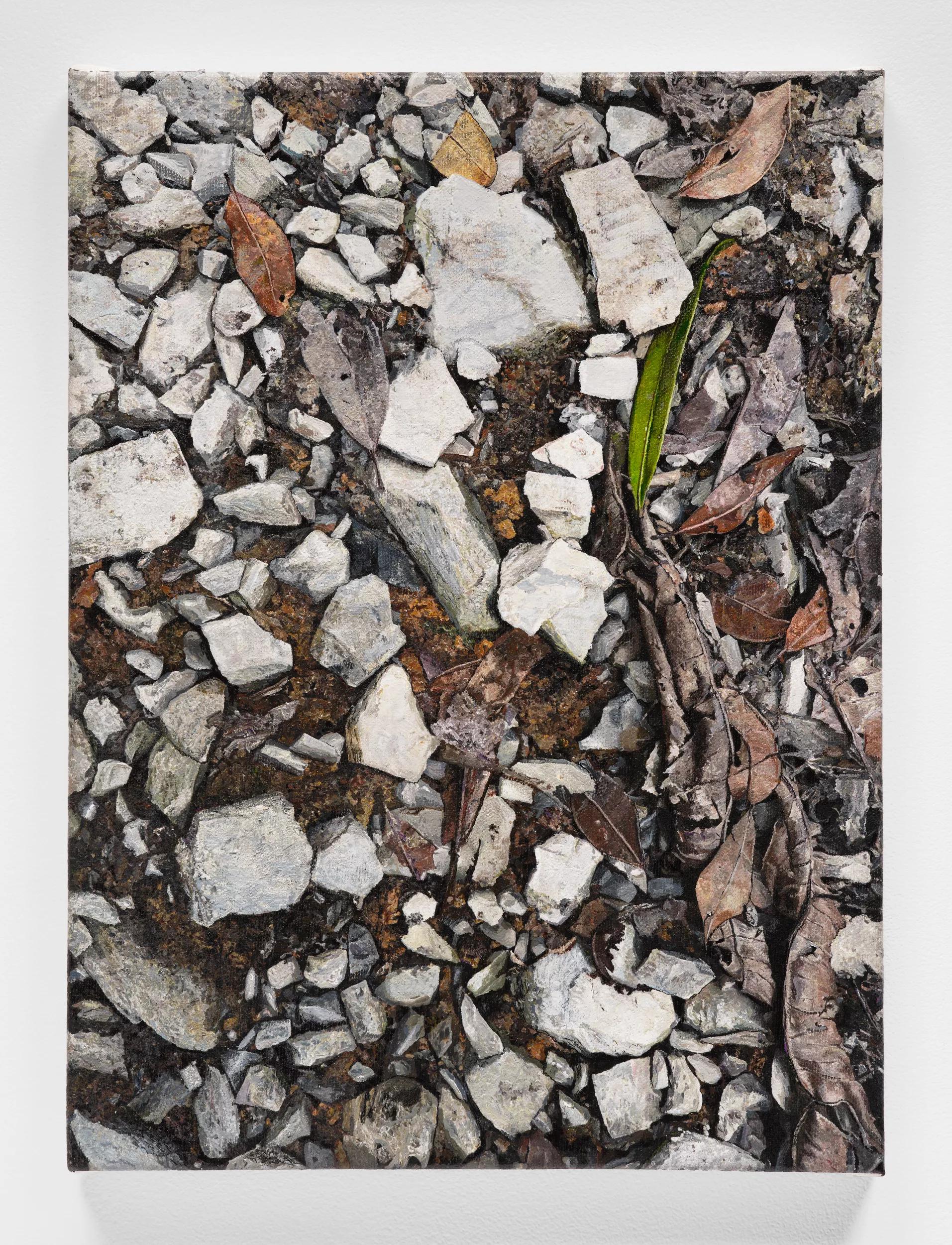Image for exhibition titled Cerro Amay, Guatemala