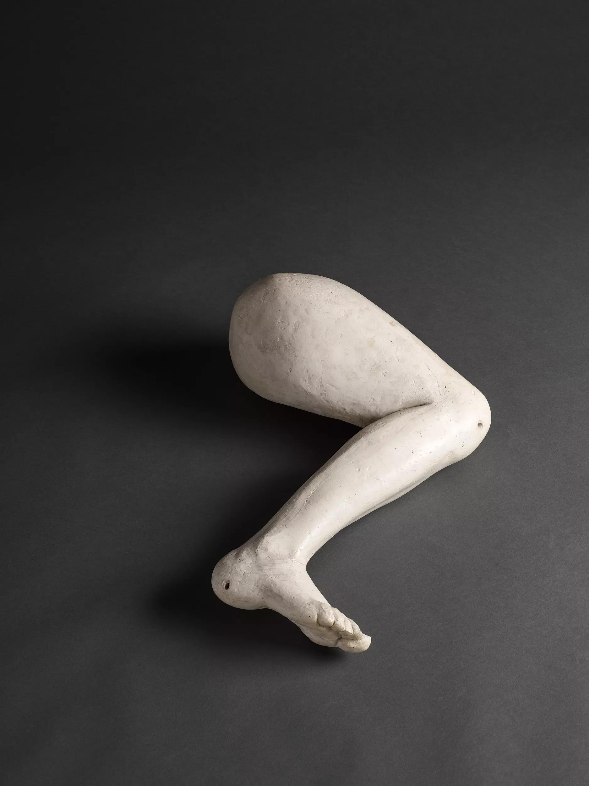 Image for exhibition titled Alina Szapocznikow