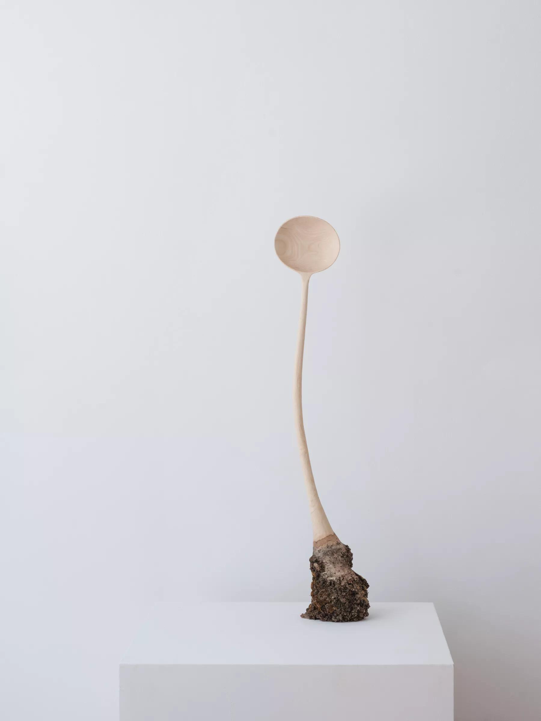 Image for exhibition titled Mark Reddy