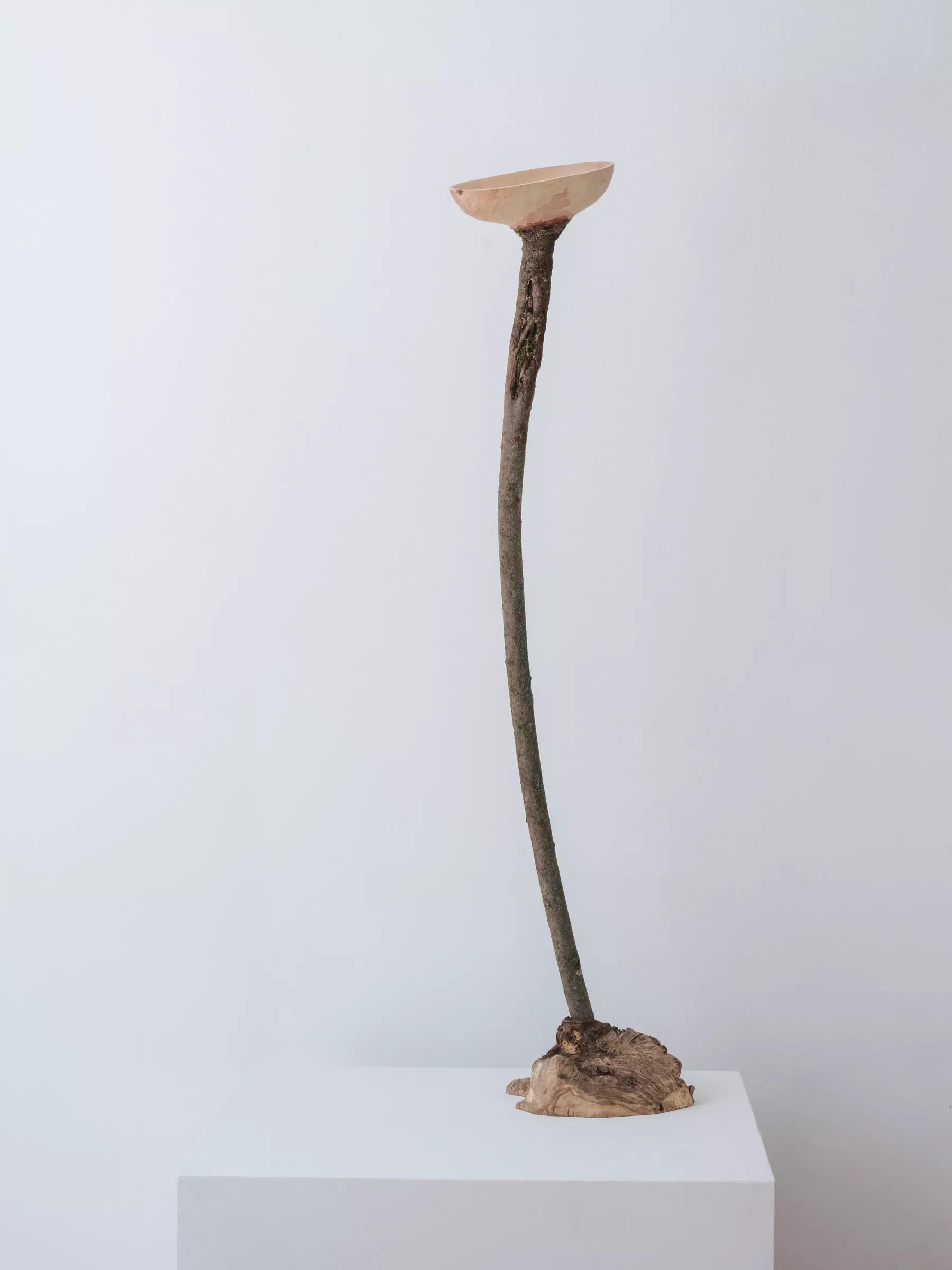 Image for exhibition titled Mark Reddy  