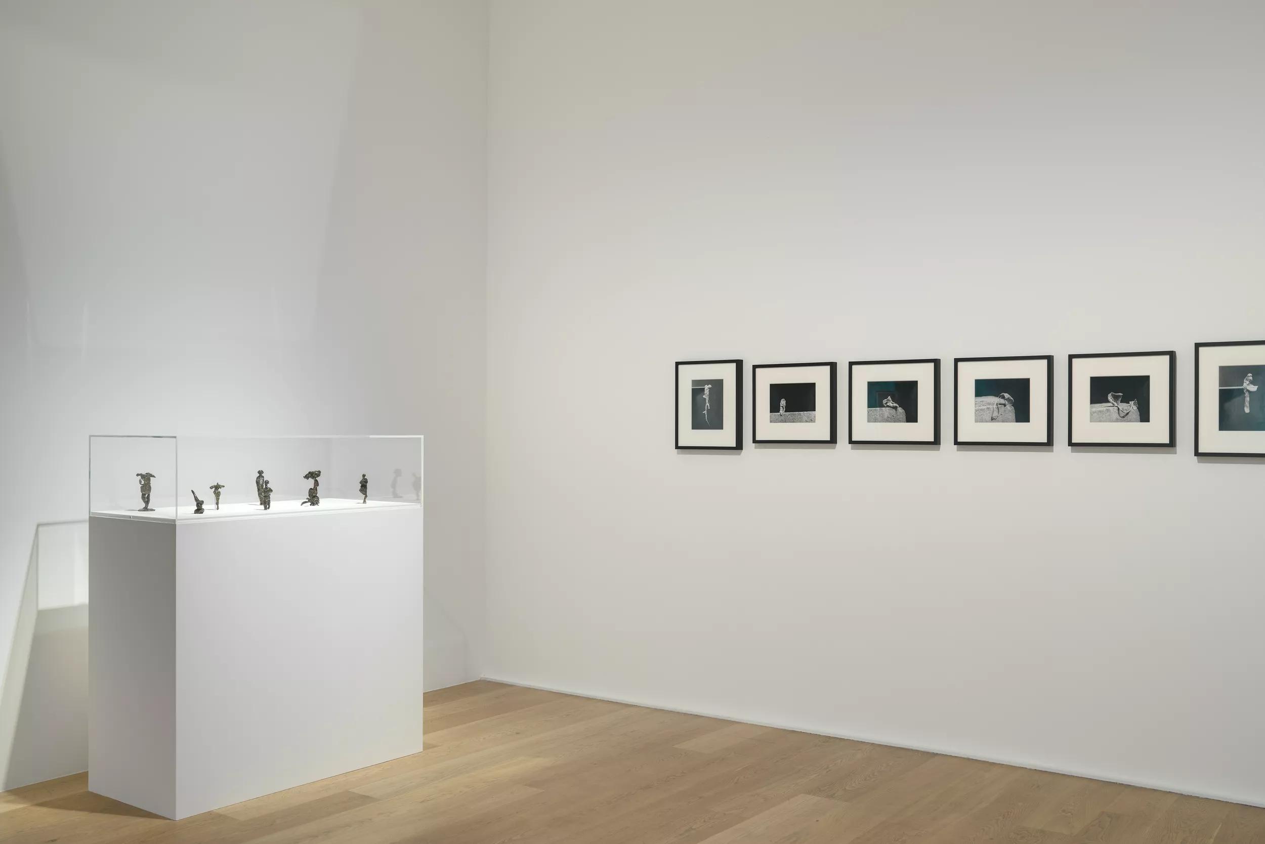 Installation view image for Installation views