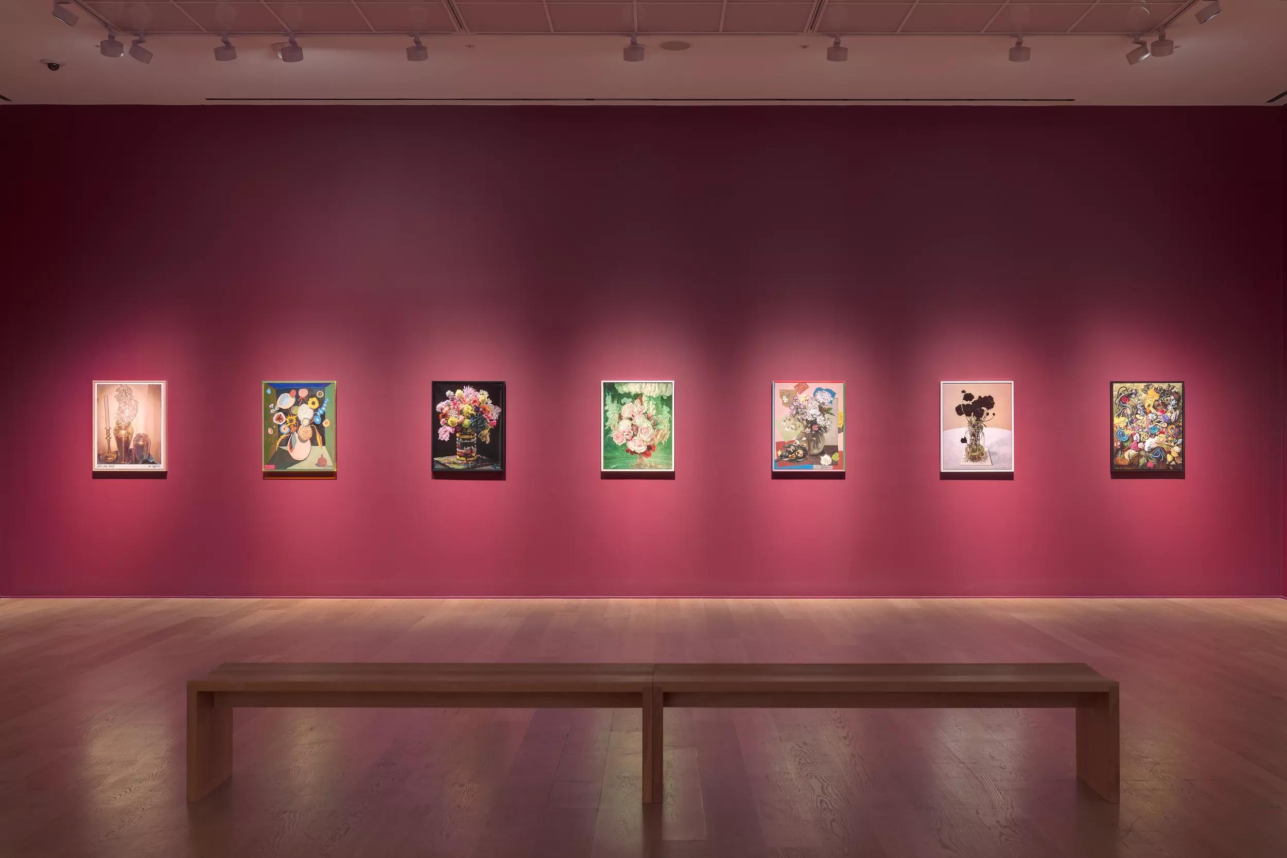 Installation view image for Installation views