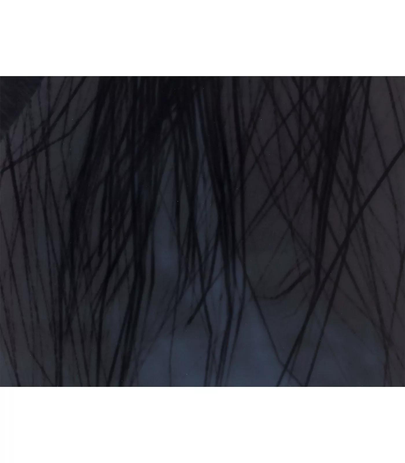 Image for exhibition titled Avery Singer