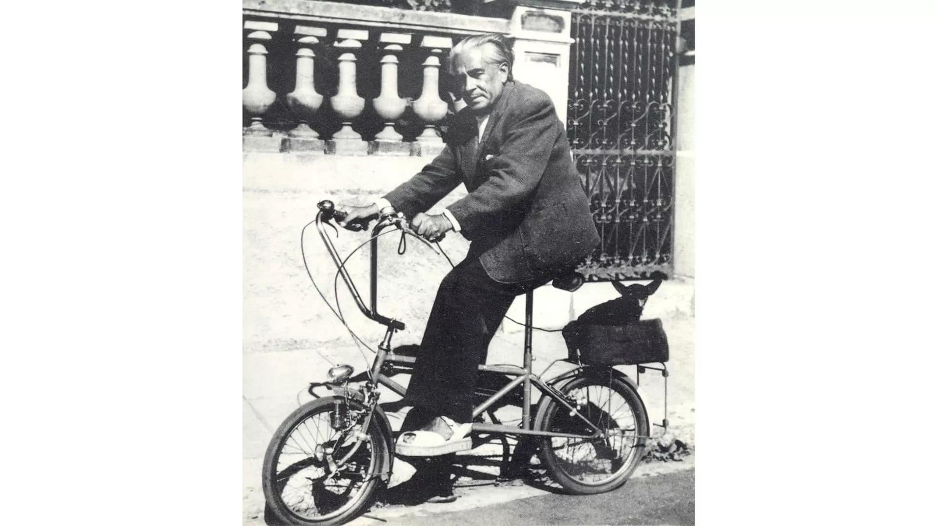 Image for exhibition 