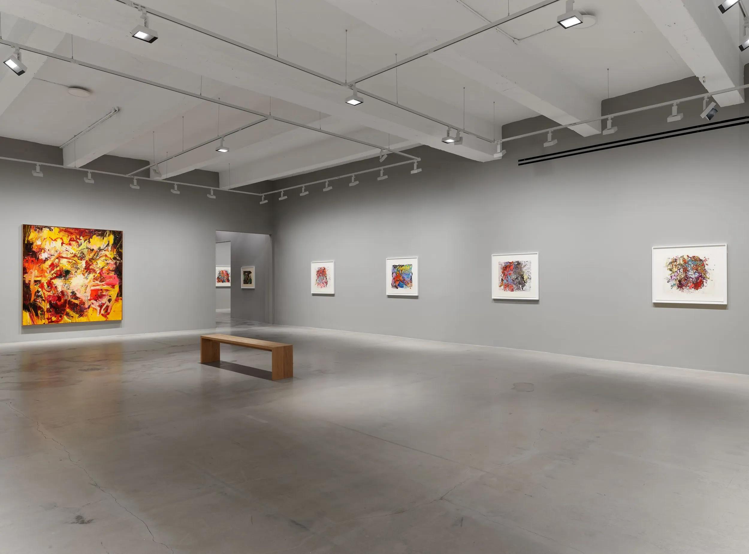 Installation view image for Installation Views