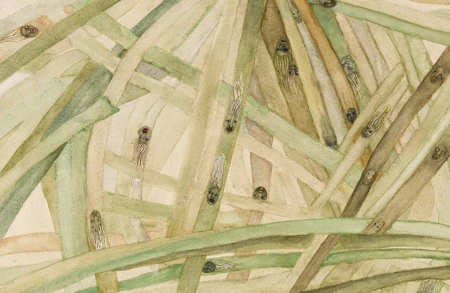 Thumbnail image for event called AÇÚCAR: A Film Series Organized by Ellen Gallagher