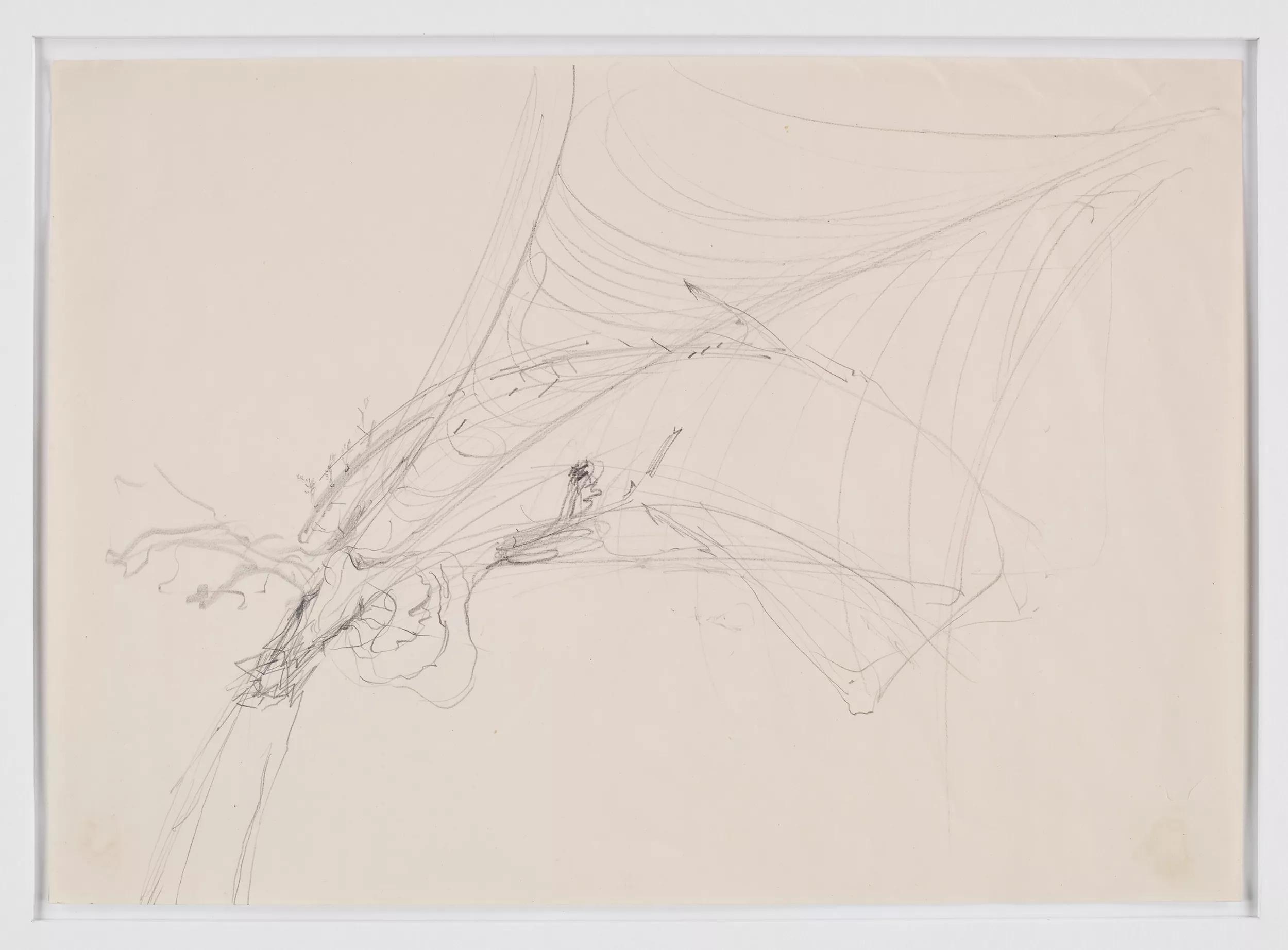 Image for exhibition 