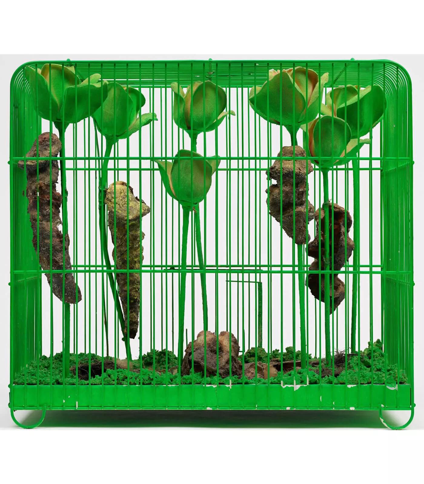 Image for exhibition titled Tetsumi Kudo