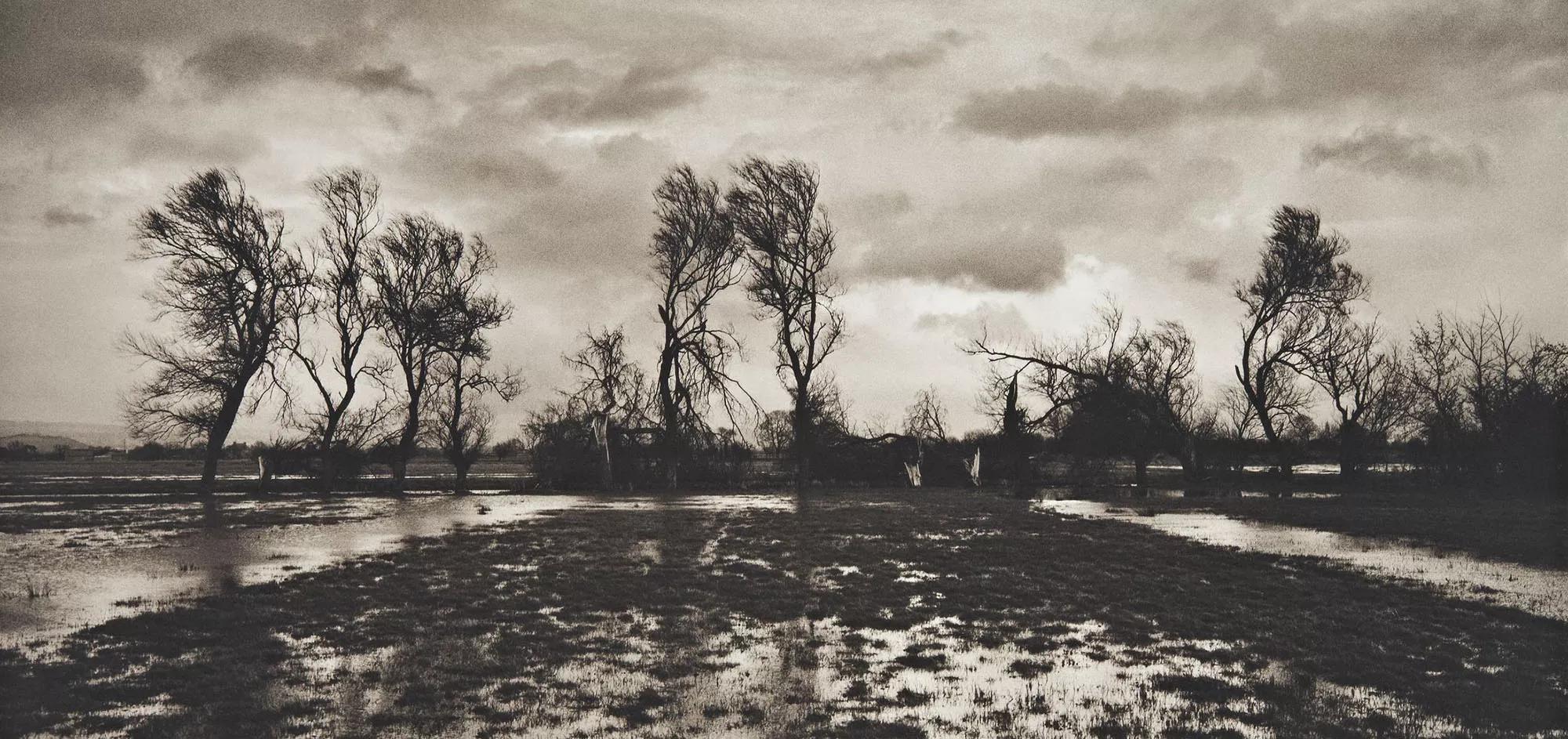 Image for Don McCullin