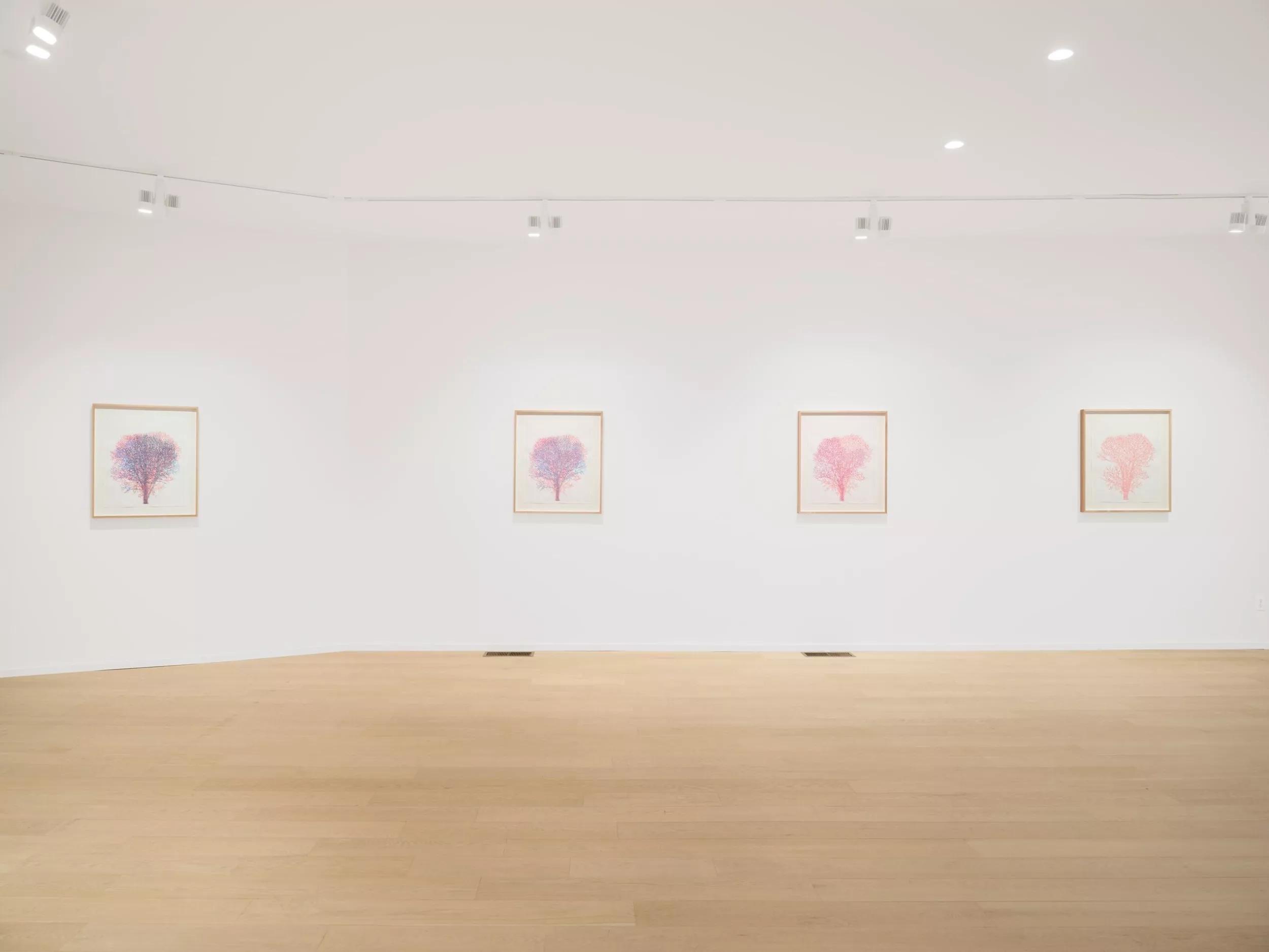 Image for exhibition titled Explore the exhibition
