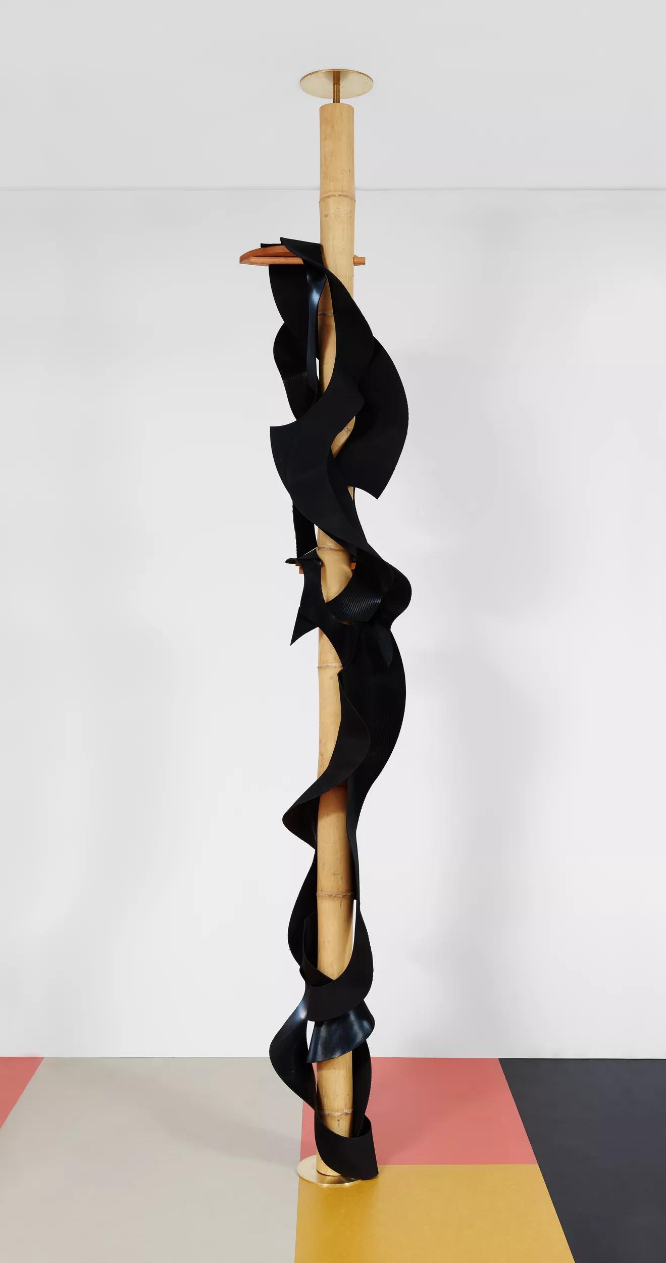 Image for exhibition titled Leonor Antunes