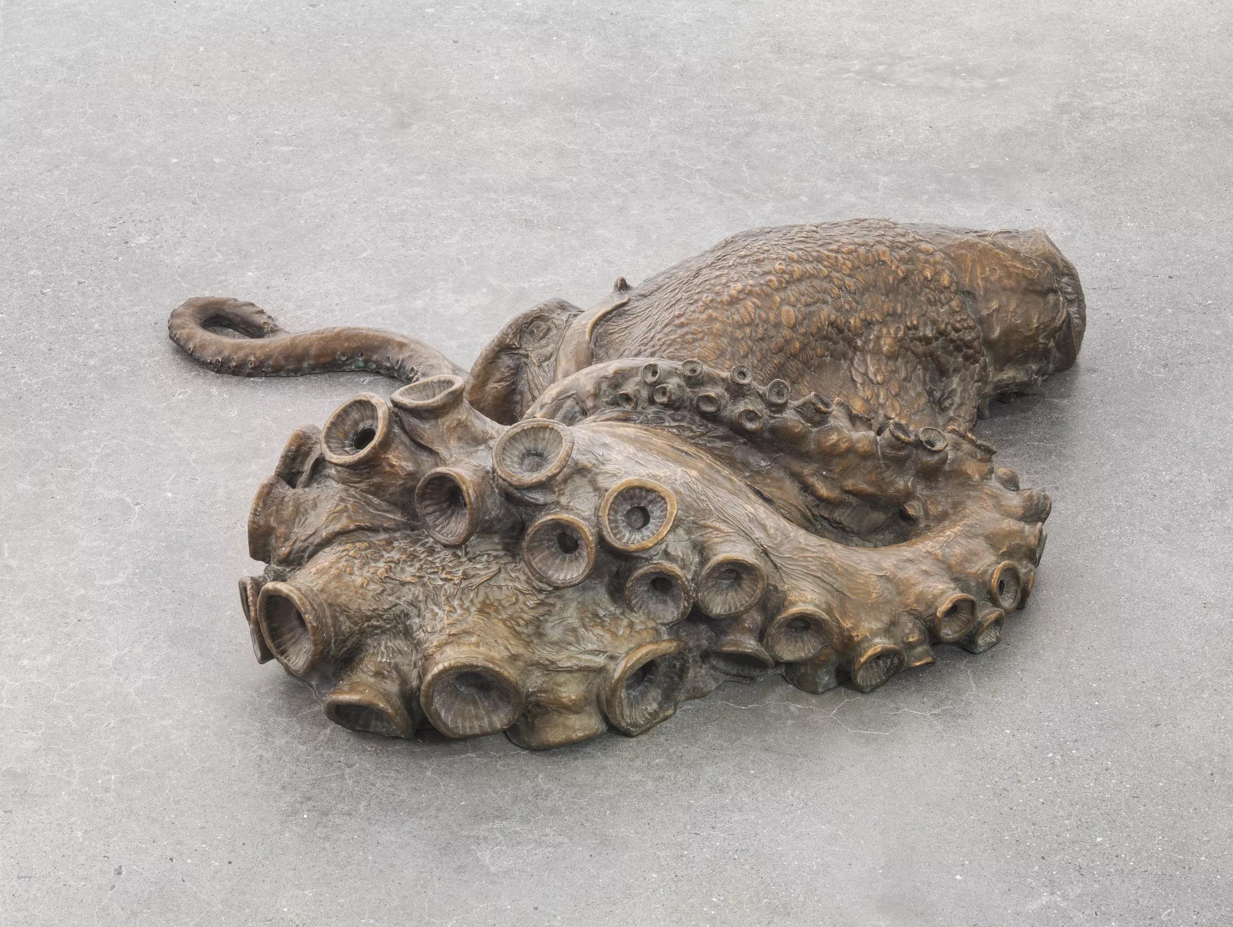 Image for exhibition 