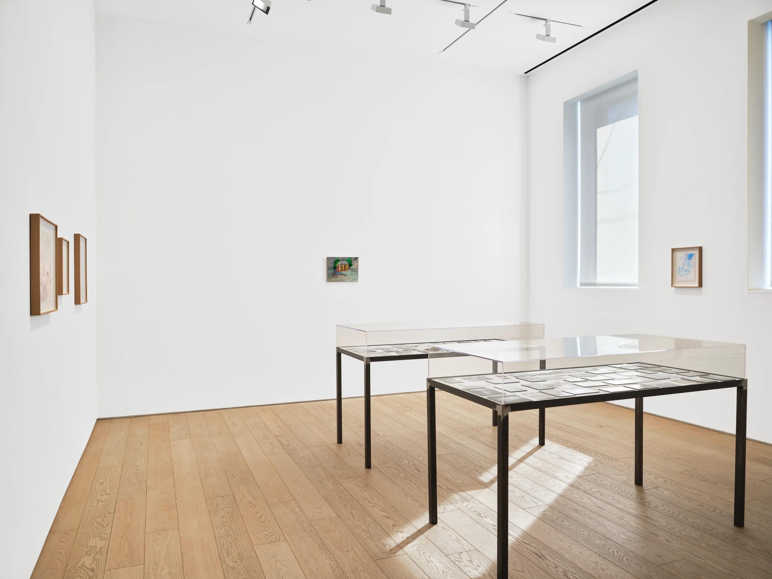 Installation view image for INSTALLATION VIEWS