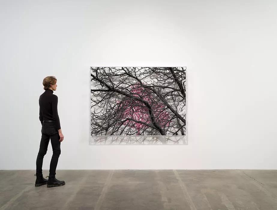 Thumbnail image for exhibition titled Numbers and Trees: London Series 2, Tree #1, Blomfield Street
