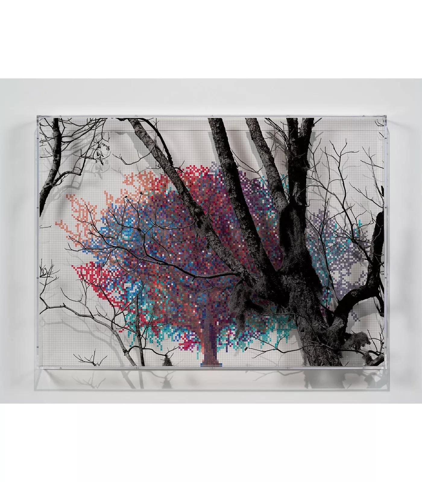 Image for exhibition titled Charles Gaines
