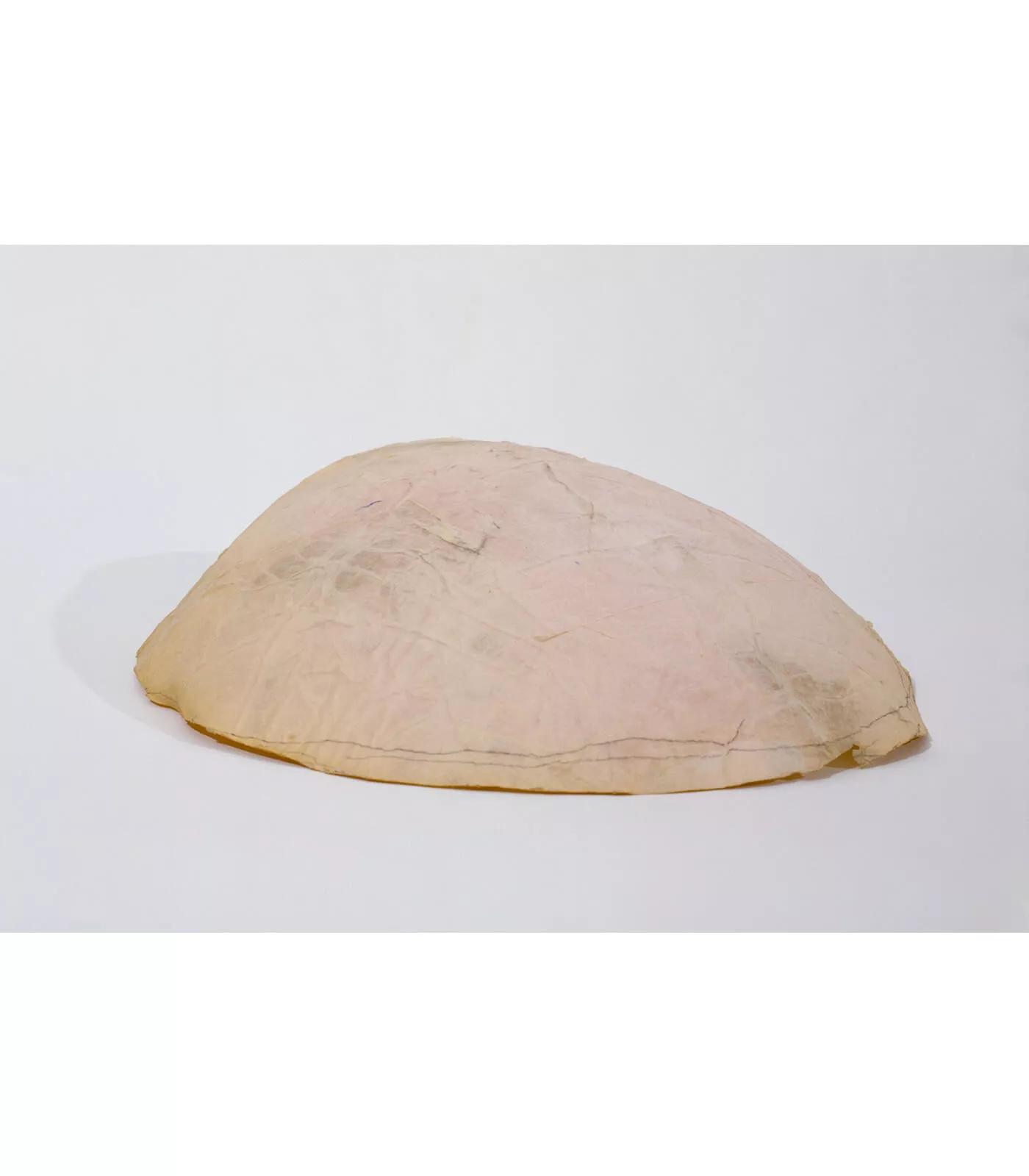 Image for exhibition titled Eva Hesse