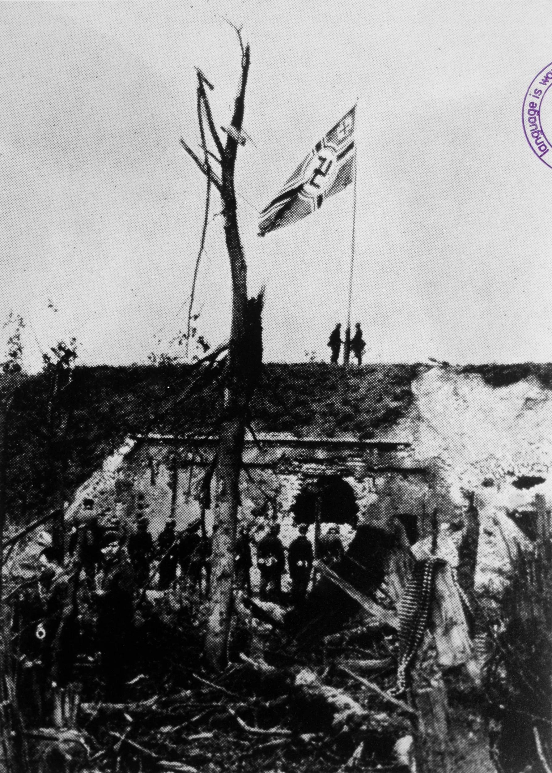 Hero image 