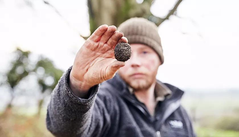 Hero image for event titled Thrifty Thursdays: Ben Carter on Truffles