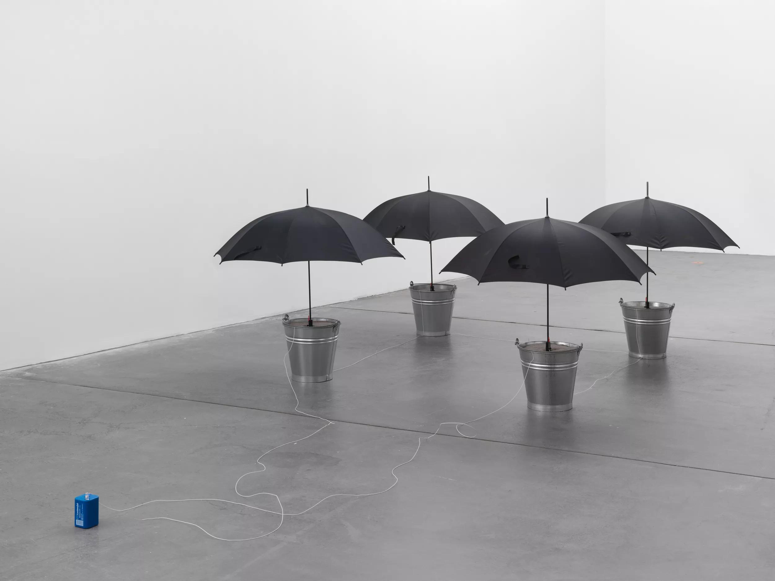 Image for Roman Signer
