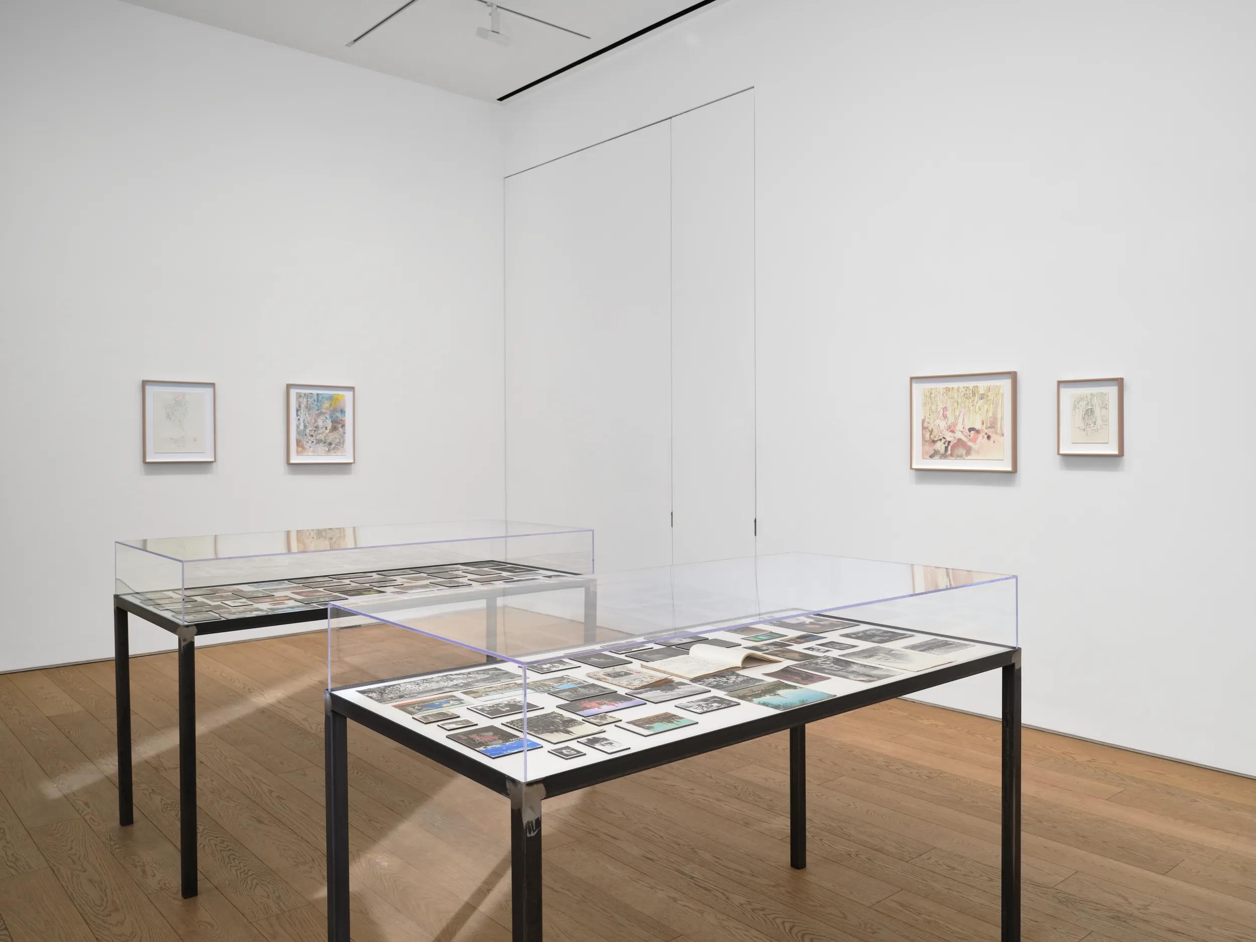 Installation view image for INSTALLATION VIEWS