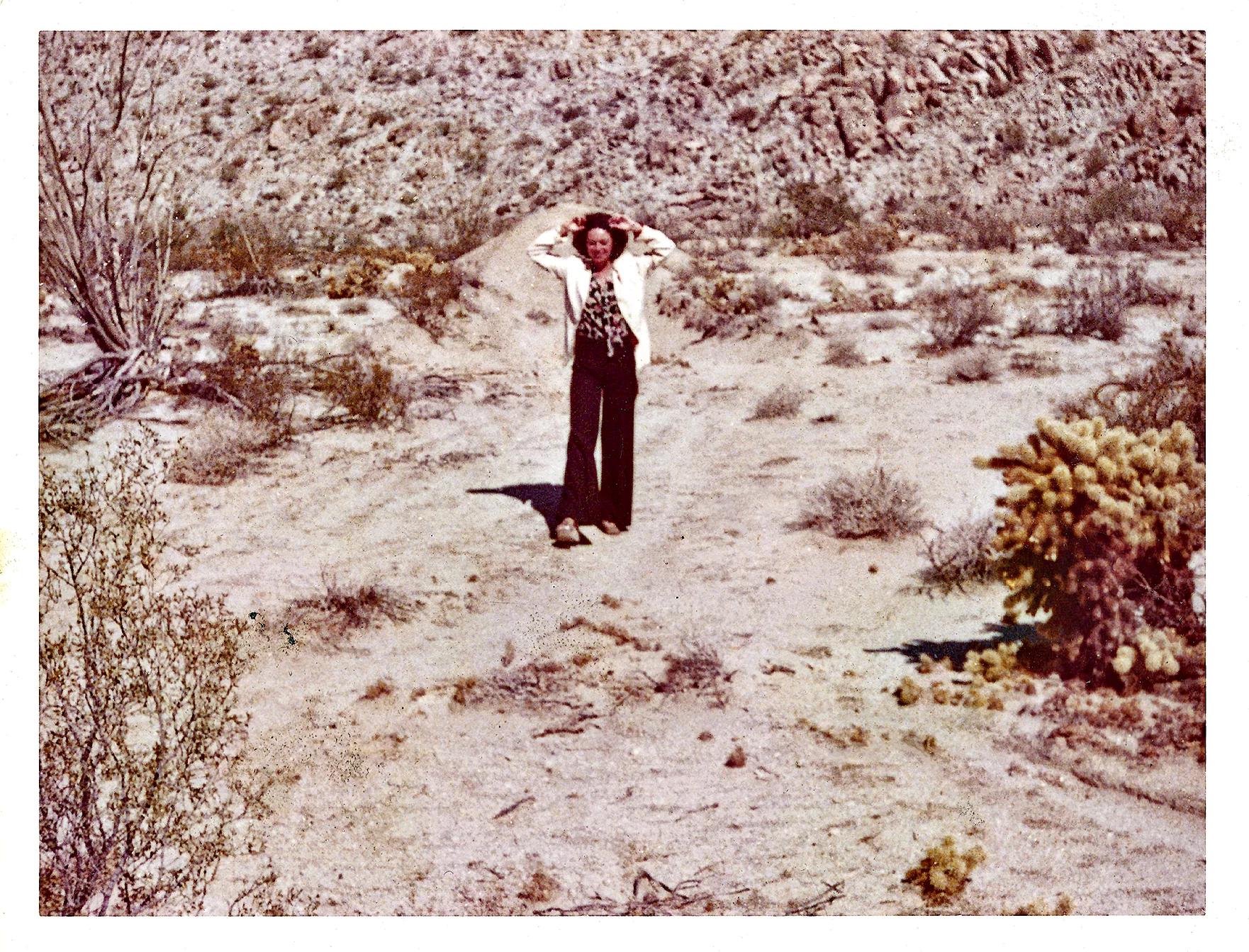 Hero image Ursula Hero titled Pest Control: Pat Steir writes to Sol LeWitt, 1976