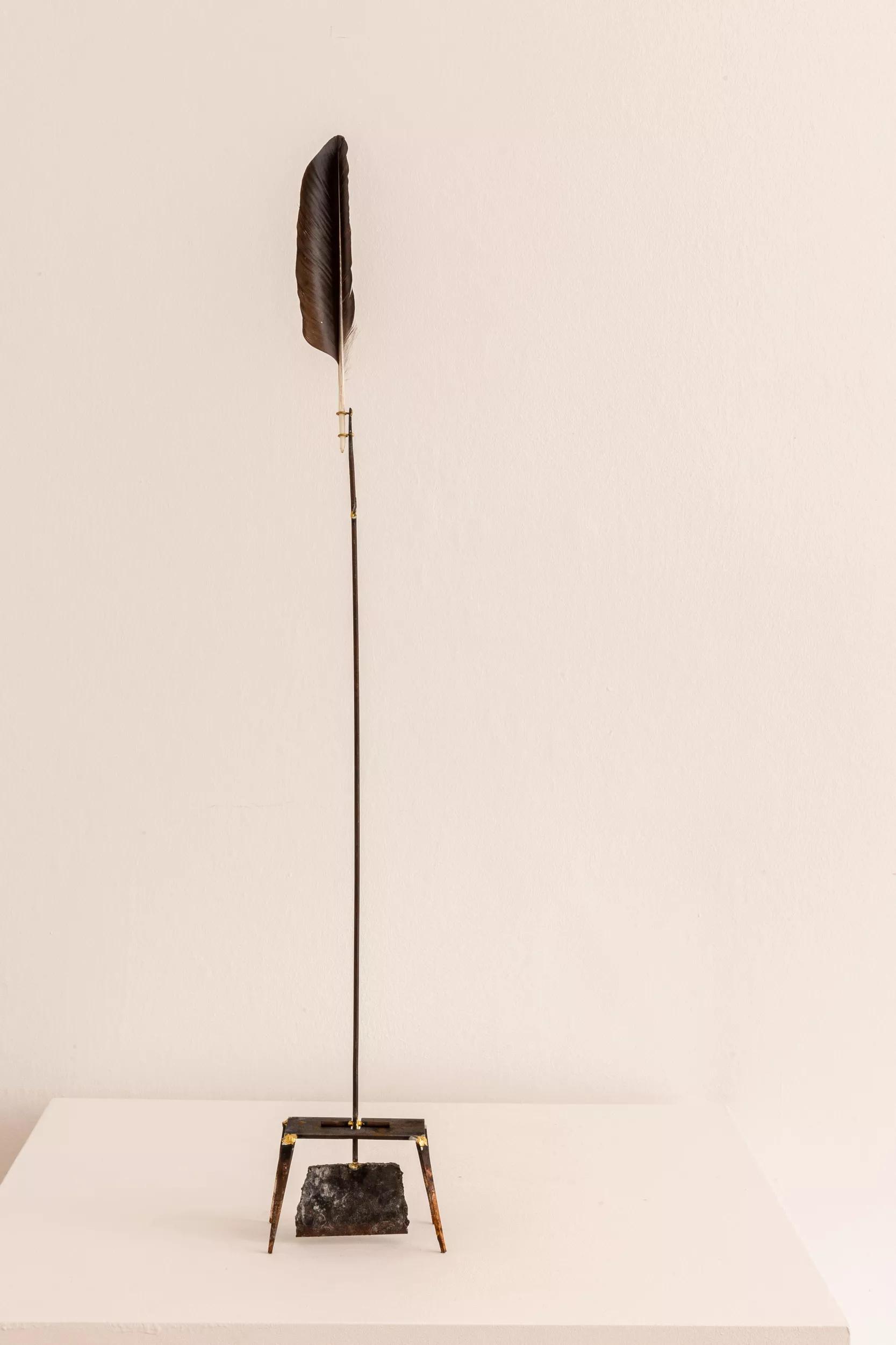 Image for exhibition 
