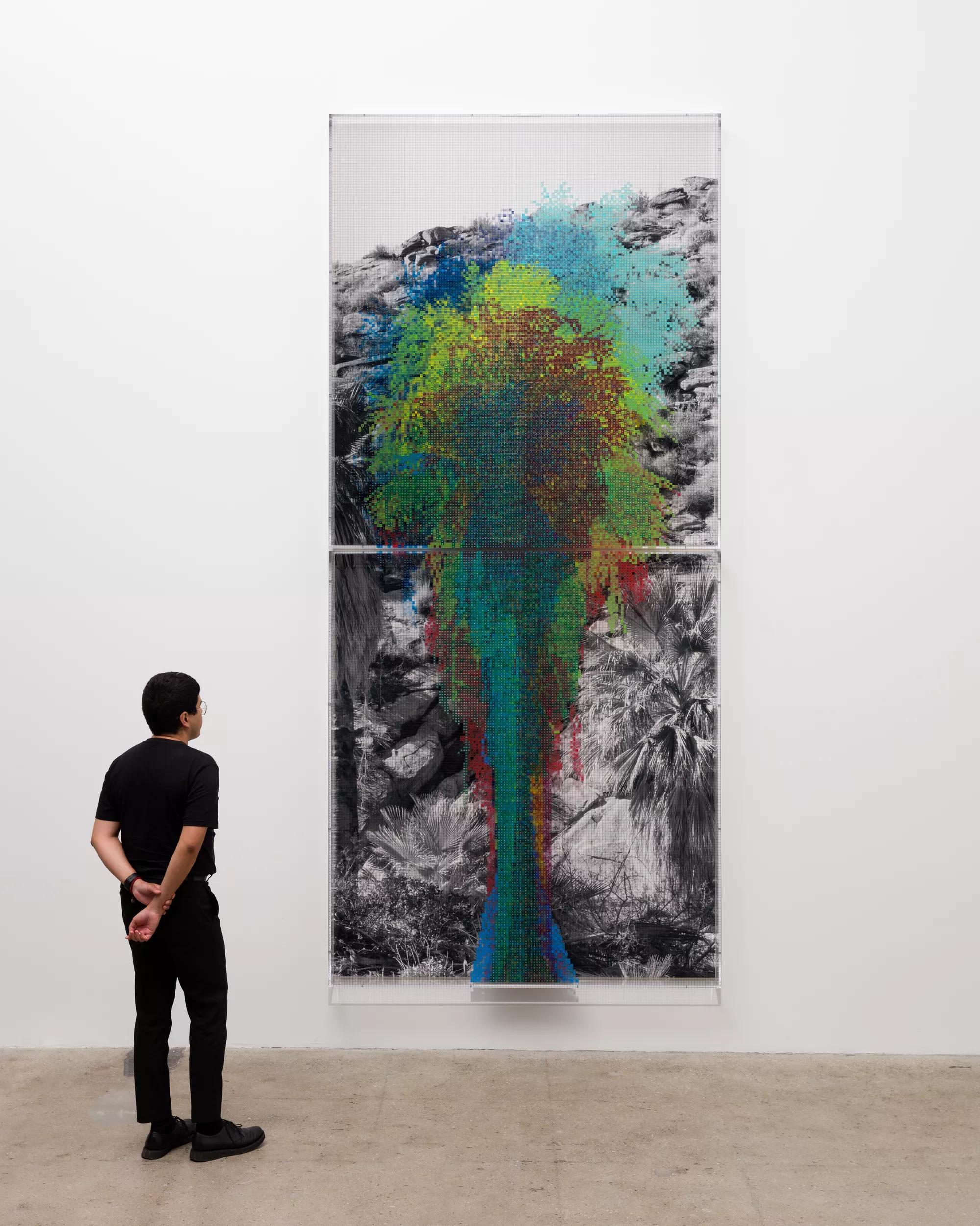 Image for exhibition 