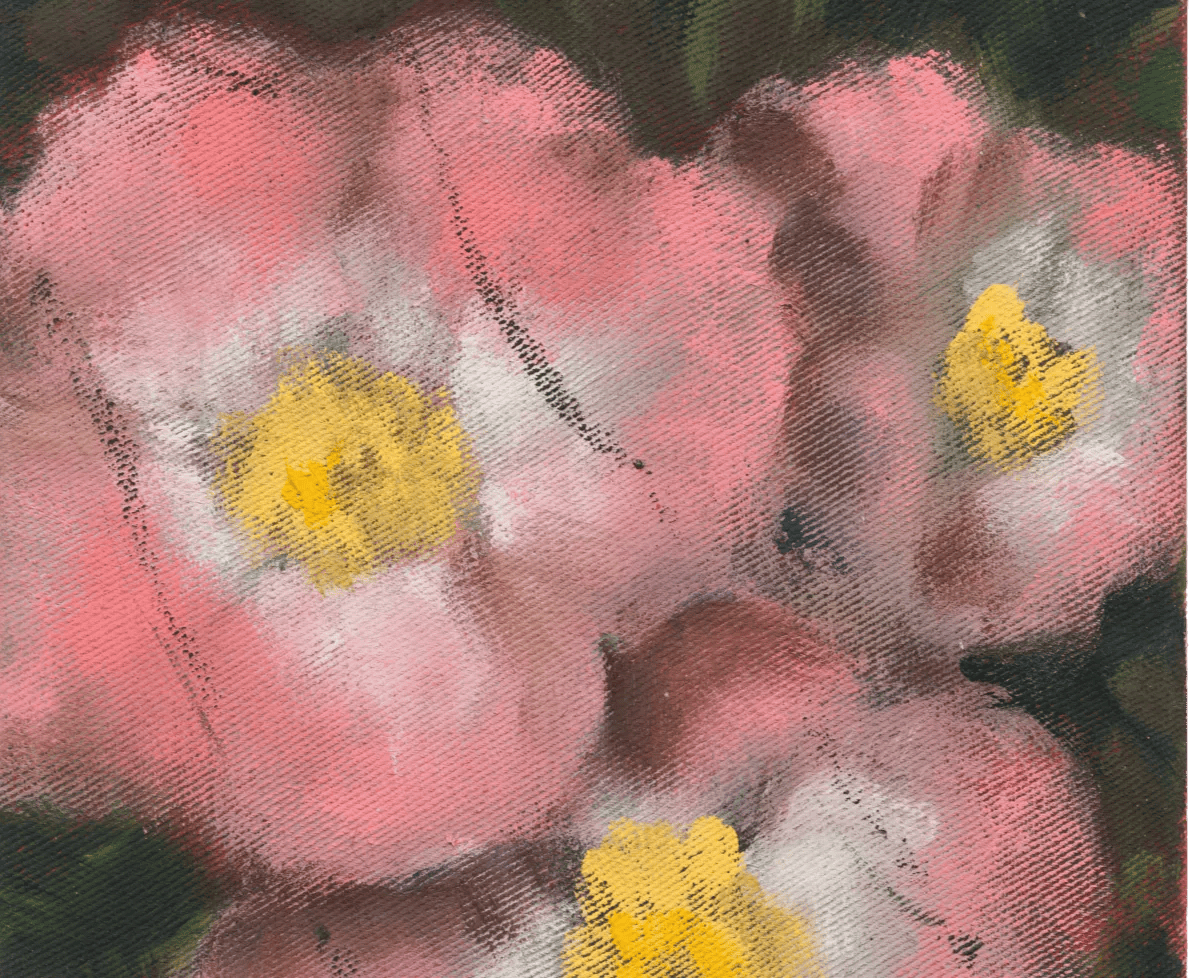 Thumbnail image for Exhibition titled Conny Maier
