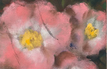 Thumbnail image for exhibition titled Conny Maier <br> Searching for Paradise
