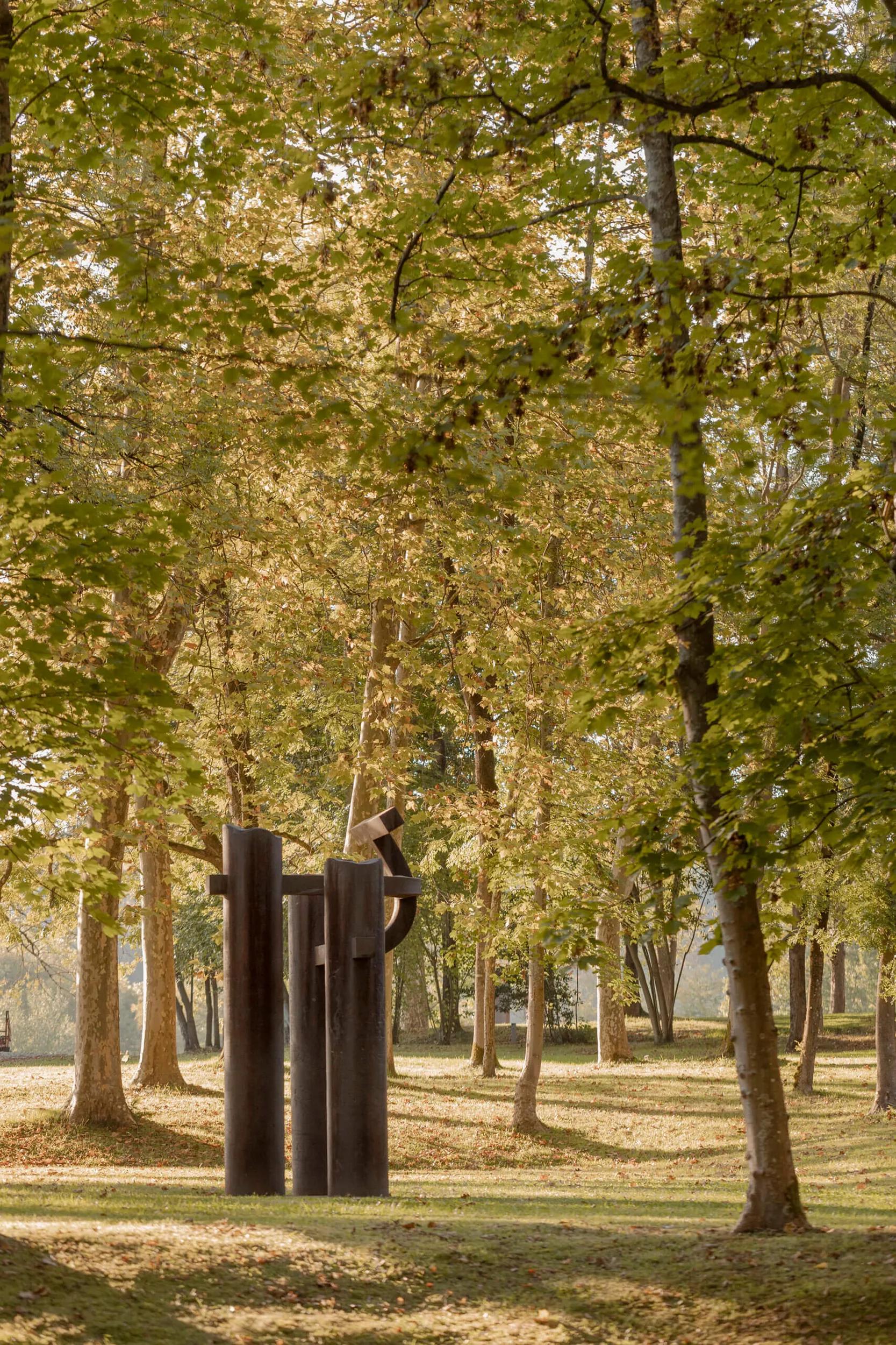 Thumbnail image for exhibition titled Basoa V (Forest V)