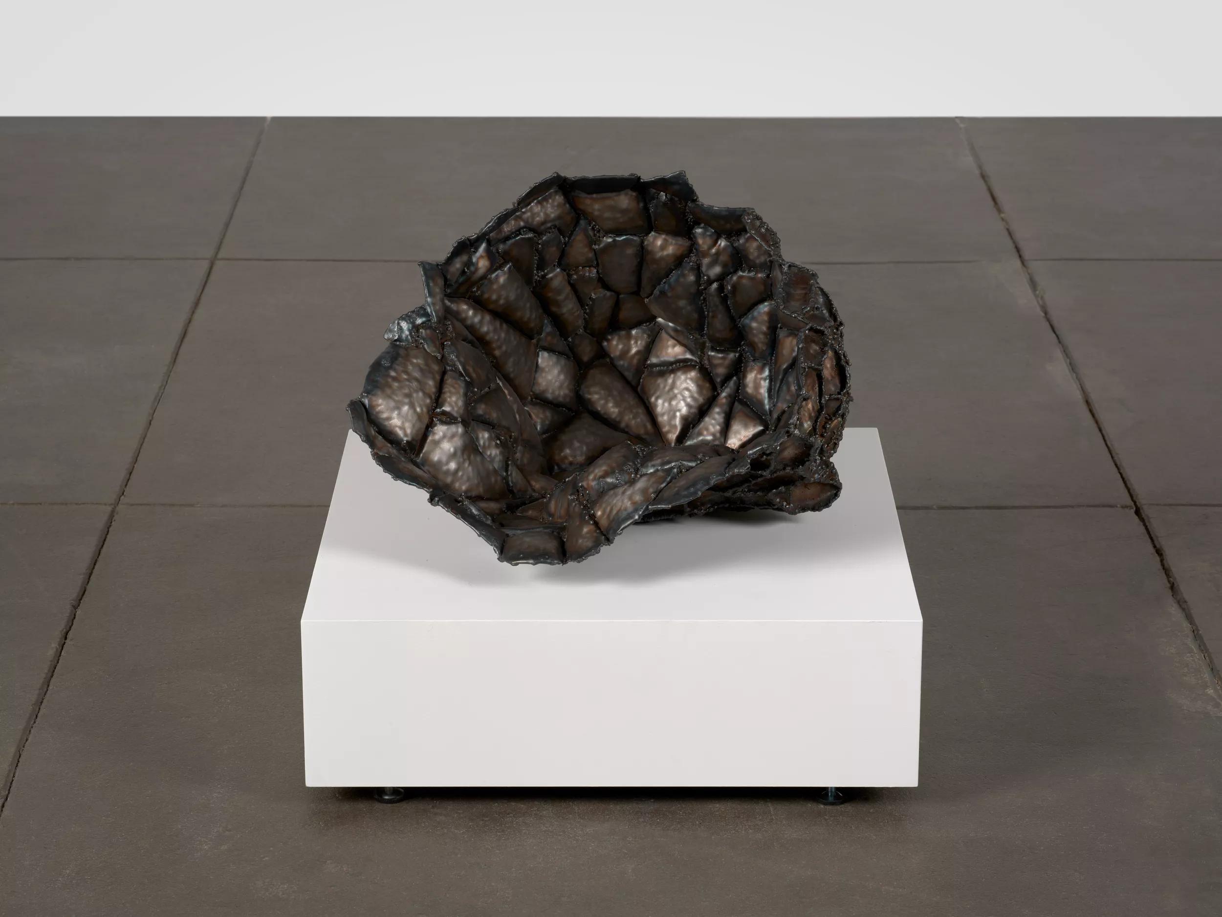 Image for exhibition titled Beatriz Cortez 
