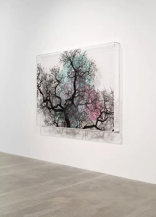 Thumbnail image for exhibition titled Numbers and Trees: London Series 2, Tree #3, Minerva Walk