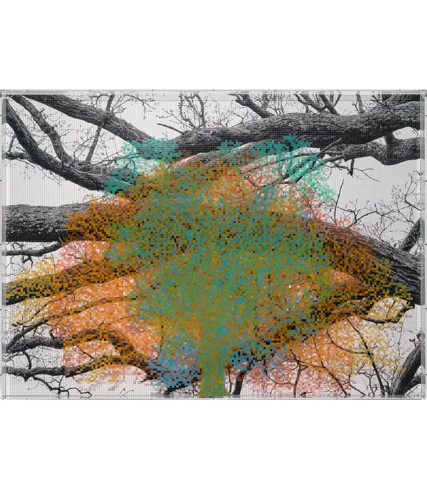 Image for exhibition titled Charles Gaines