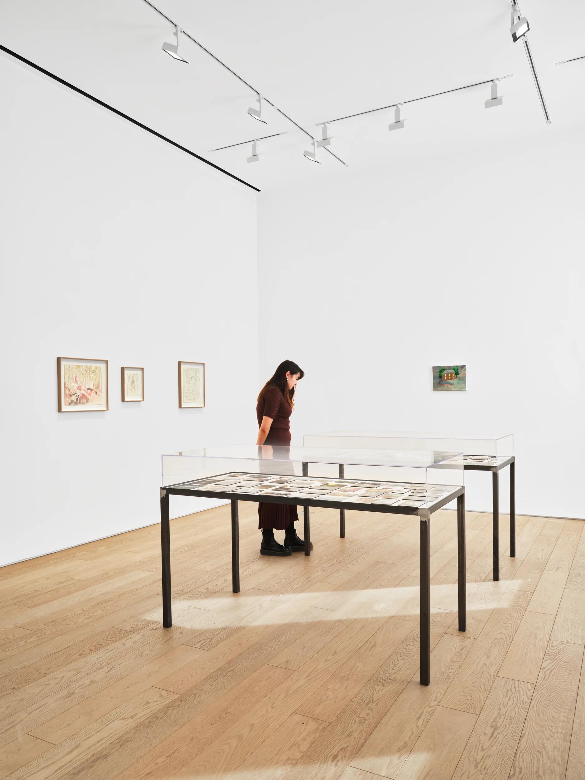 Installation view image for INSTALLATION VIEWS