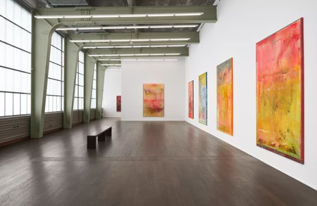 Thumbnail image for event called Exhibition Walkthrough: ‘Frank Bowling. Penumbral Light’ with Ben Bowling and Neil Wenman