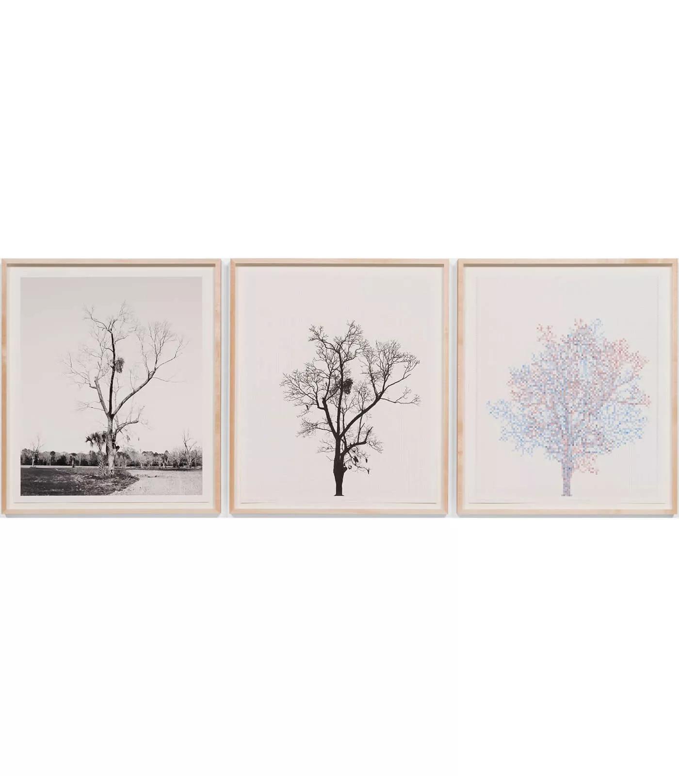 Image for exhibition titled Charles Gaines